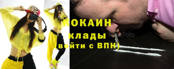твердый Аркадак