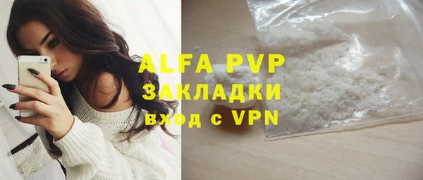 твердый Аркадак