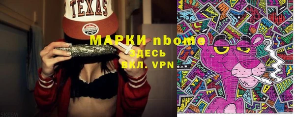 твердый Аркадак