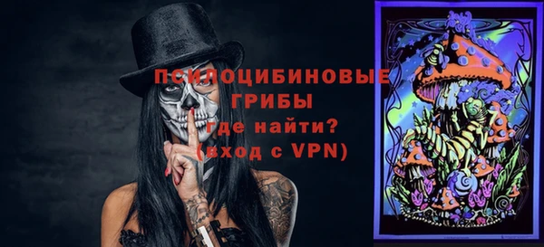 твердый Аркадак