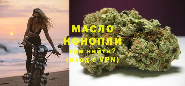 индика Балабаново